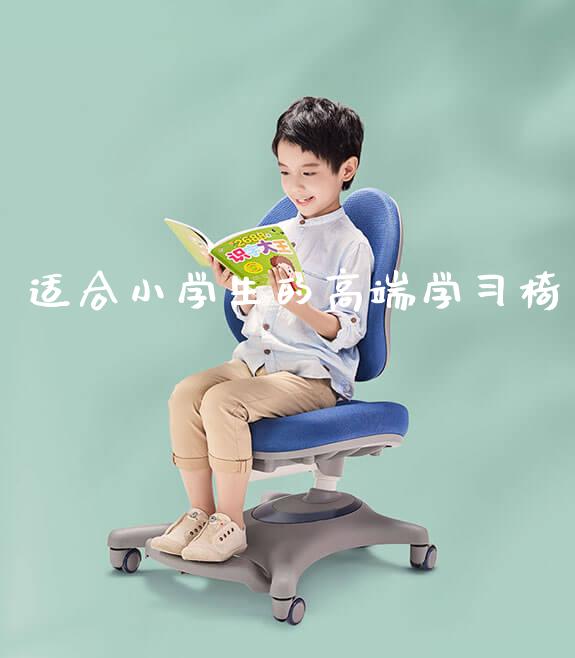 适合小学生的高端学习椅