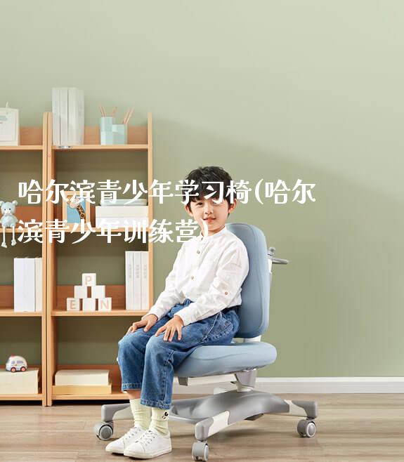 哈尔滨青少年学习椅(哈尔滨青少年训练营)_https://www.gmyd.com.cn/ejxsy_正姿椅系列_第1张