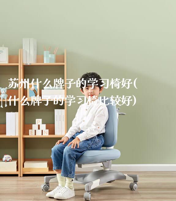 苏州什么牌子的学习椅好(什么牌子的学习椅比较好)_https://www.gmyd.com.cn/ejxsy_学生桌椅_第1张