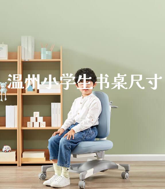 温州小学生书桌尺寸_https://www.gmyd.com.cn/ejxsy_banner图片_第1张