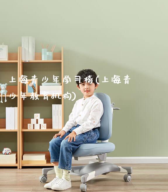 上海青少年学习椅(上海青少年教育机构)_https://www.gmyd.com.cn/ejxsy_学习桌系列_第1张